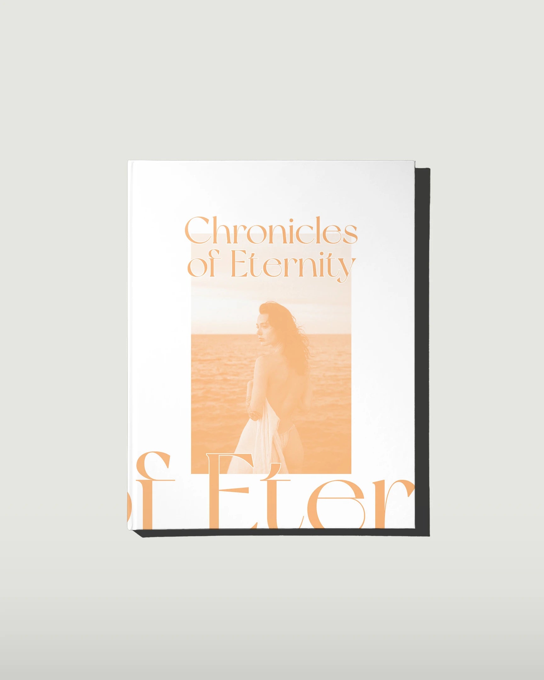 Chronicles of Eternity Product Image Front