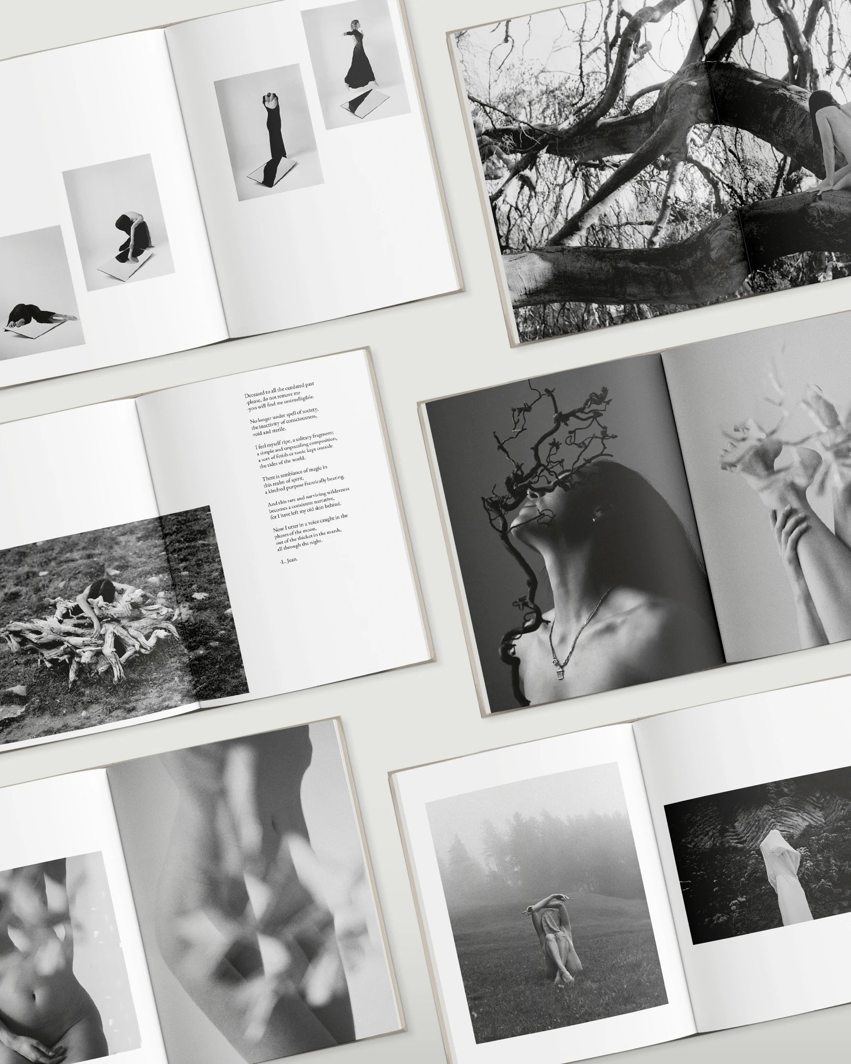 Hiding in plain sight