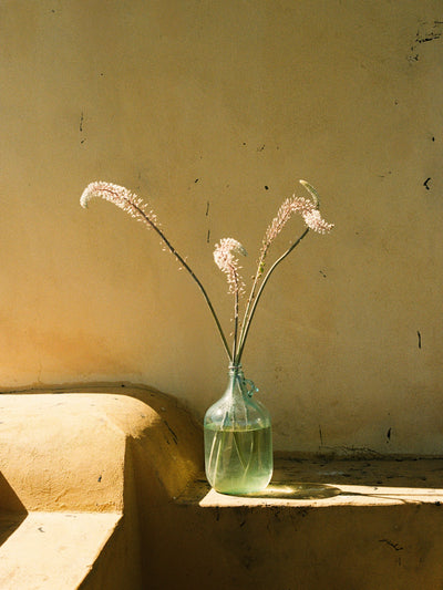 Stems in Glass – 9x12 / Unframed / None