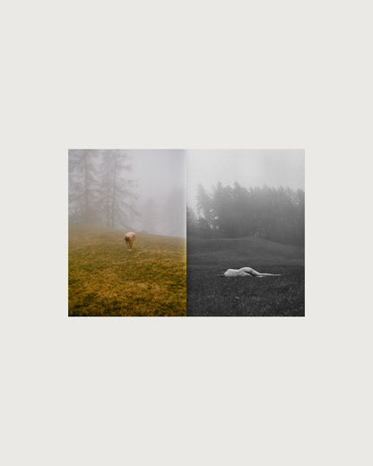 Hiding in plain sight