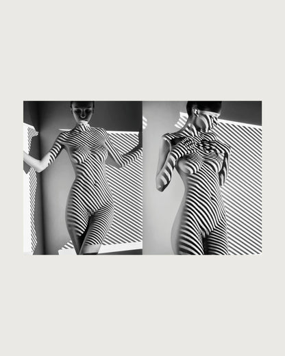 Shadows & Scultpures