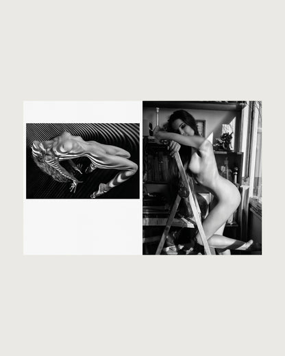 Shadows & Scultpures